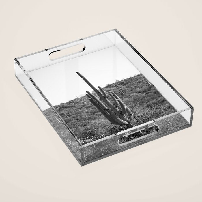 Arizona Landscape Photography x Saguaro National Park Acrylic Tray Gallery Image 1