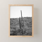 Arizona Landscape Photography x Saguaro National Park Mini Art Print Gallery Image 1