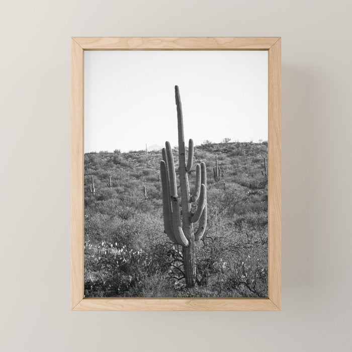 Arizona Landscape Photography x Saguaro National Park Mini Art Print Gallery Image 1