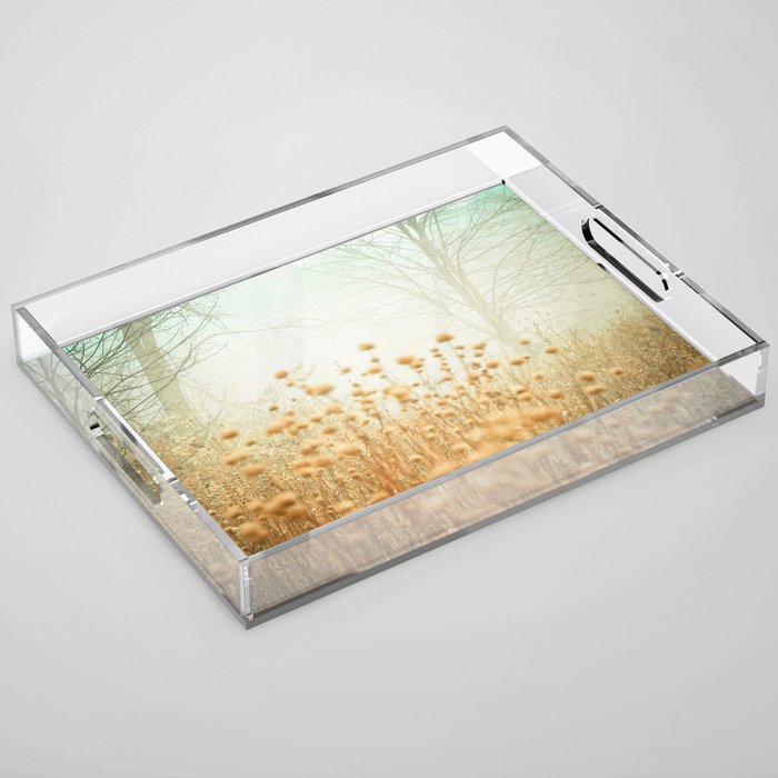 The Magic of Fog Acrylic Tray Gallery Image 1