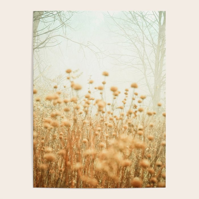 The Magic of Fog Poster Gallery Image 4
