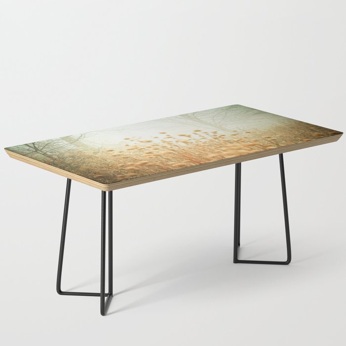 The Magic of Fog Coffee Table Gallery Image 1