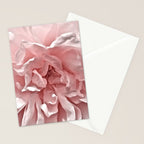 Pink Blush Rose Stationery Card Gallery Image 2
