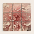 Pink Blush Rose Wood Wall Art Gallery Image 1