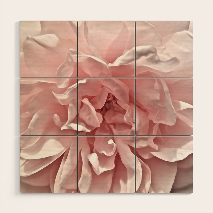 Pink Blush Rose Wood Wall Art Gallery Image 1
