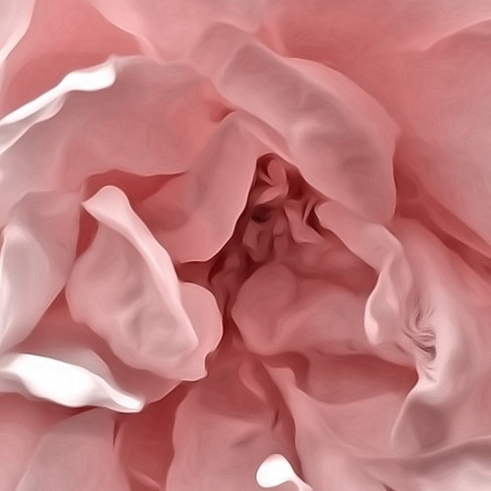 Pink Blush Rose Coffee Mug Gallery Image 2