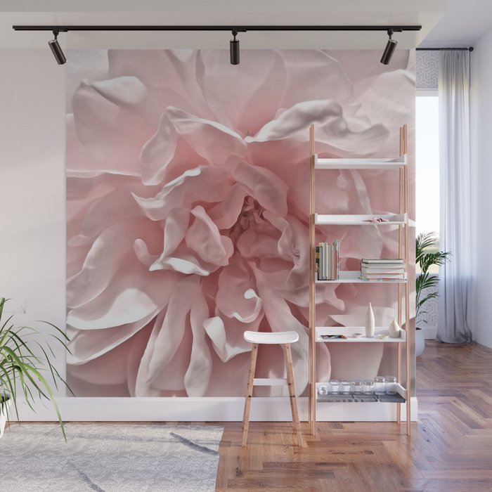 Pink Blush Rose Wall Mural Gallery Image 1