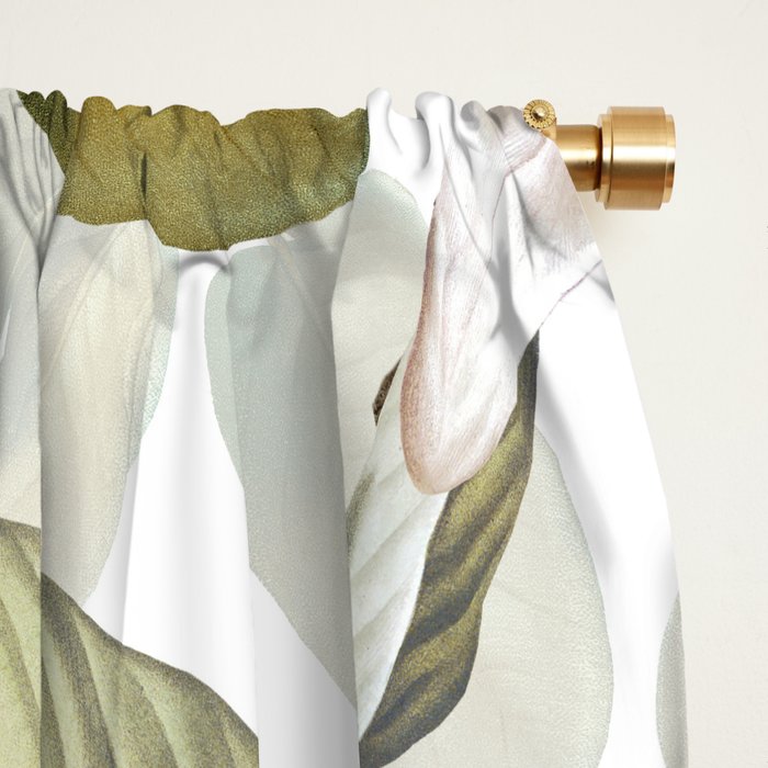 Vintage & Shabby Chic - Spring Flowers Magnolia Botanical Garden Window Curtain Gallery Image 2