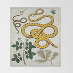 Yellow Snakes Seba Albertus Throw Blanket Gallery Image 2