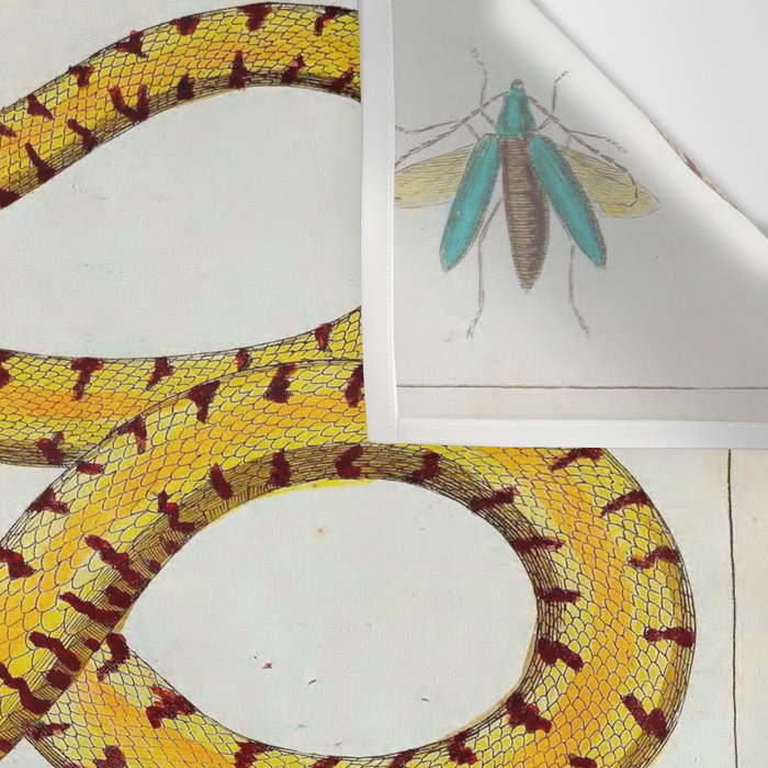 Yellow Snakes Seba Albertus Wall Tapestry Gallery Image 3