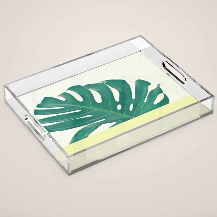 Monstera Dip II Acrylic Tray Gallery Image 1
