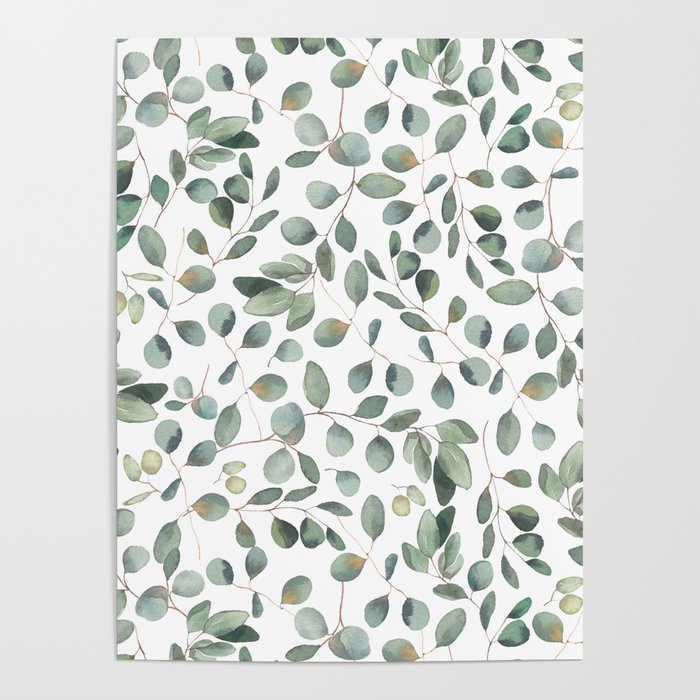 Eucalyptus Leaves Garden Poster Gallery Image 4
