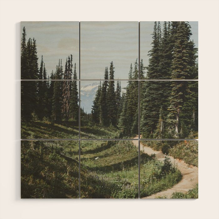 Mountain Trail Wood Wall Art Gallery Image 1
