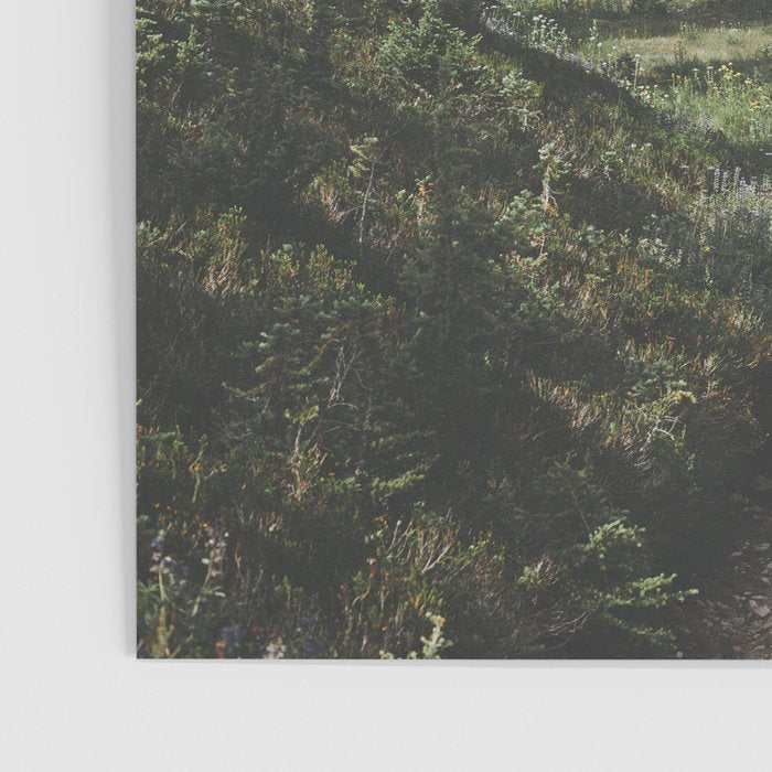 Mountain Trail Poster Gallery Image 3