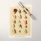 Illustrated Trout Fishing Flies Chart from Favorite Flies and Their Histories  Wrapping Paper Gallery Image 1