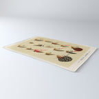 Illustrated Trout Fishing Flies Chart from Favorite Flies and Their Histories  Rug Gallery Image 3