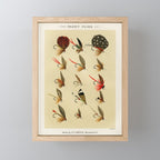 Illustrated Trout Fishing Flies Chart from Favorite Flies and Their Histories  Mini Art Print Gallery Image 1