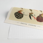 Illustrated Trout Fishing Flies Chart from Favorite Flies and Their Histories  Wrapping Paper Gallery Image 2