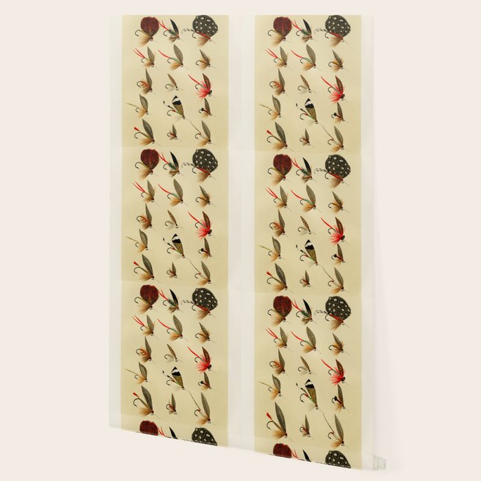 Illustrated Trout Fishing Flies Chart from Favorite Flies and Their Histories  Wallpaper Gallery Image 2
