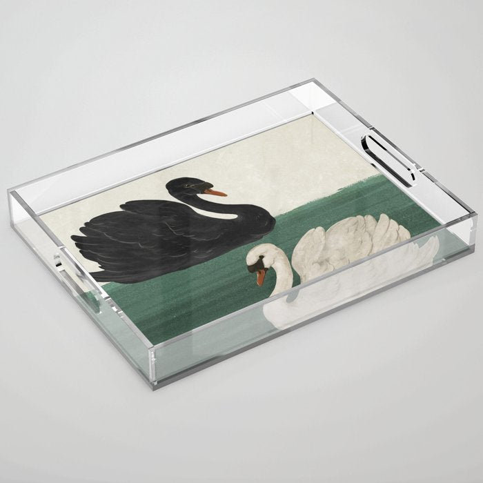 Black Swan White Swan Acrylic Tray Gallery Image 1