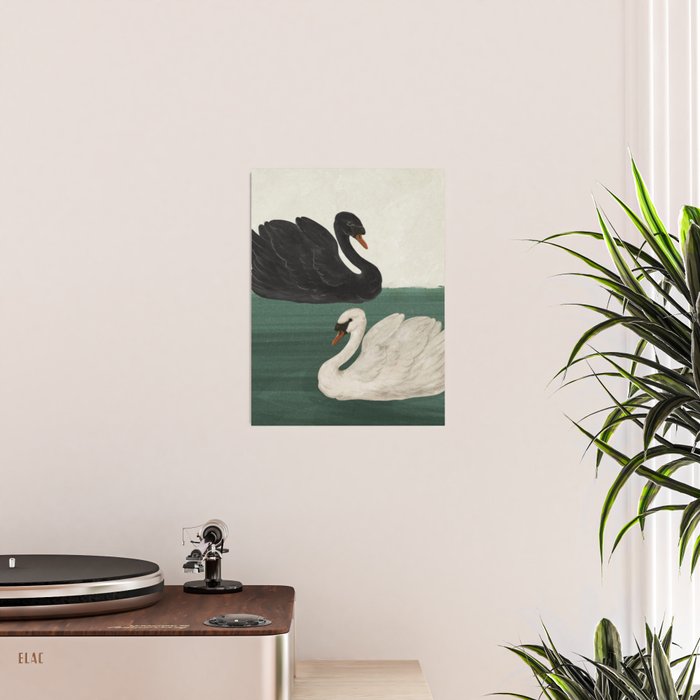 Black Swan White Swan Poster Gallery Image 2