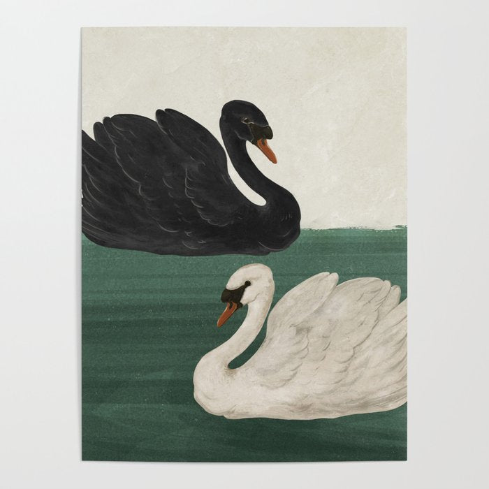 Black Swan White Swan Poster Gallery Image 1
