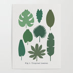 Cat and Plant 39: Tropicat Leaves Poster Gallery Image 4