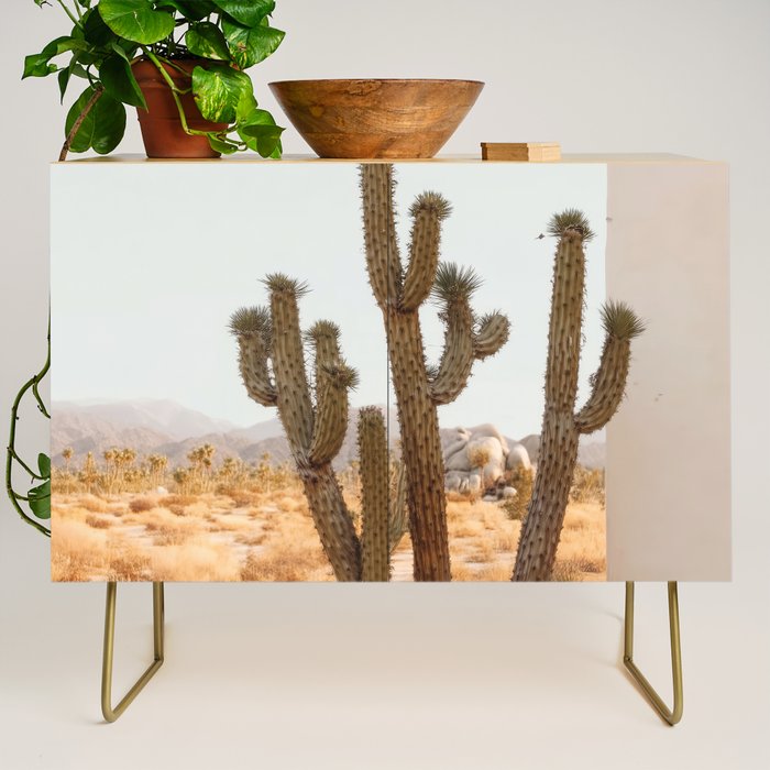 Sunset Cactus - Neutral Desert Wall Art Credenza Gallery Image 1