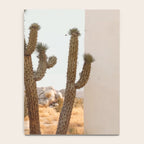 Sunset Cactus - Neutral Desert Wall Art Notebook Gallery Image 4
