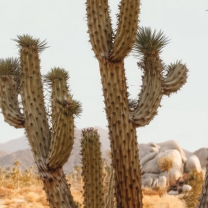 Sunset Cactus - Neutral Desert Wall Art Coffee Mug Gallery Image 2