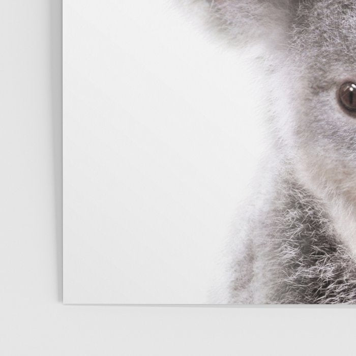 Baby Koala, Art for Kids, Nursery Art, Baby Animals Art Print By Synplus Poster Gallery Image 3