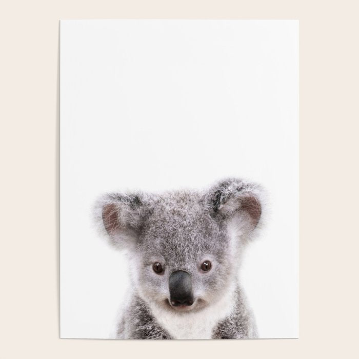 Baby Koala, Art for Kids, Nursery Art, Baby Animals Art Print By Synplus Poster Gallery Image 4