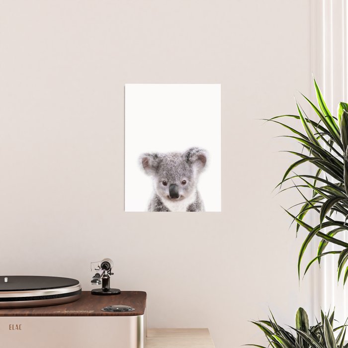 Baby Koala, Art for Kids, Nursery Art, Baby Animals Art Print By Synplus Poster Gallery Image 2