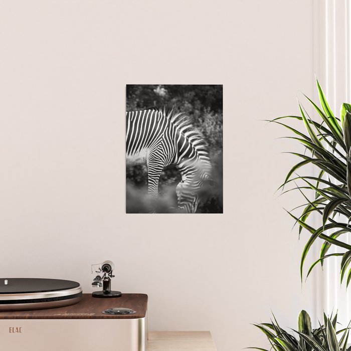 Zebra Abstract Black and White Fine Art Photography Poster Gallery Image 2