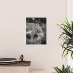 Zebra Abstract Black and White Fine Art Photography Poster Gallery Image 2