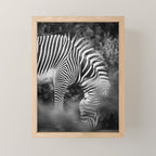 Zebra Abstract Black and White Fine Art Photography Mini Art Print Gallery Image 1