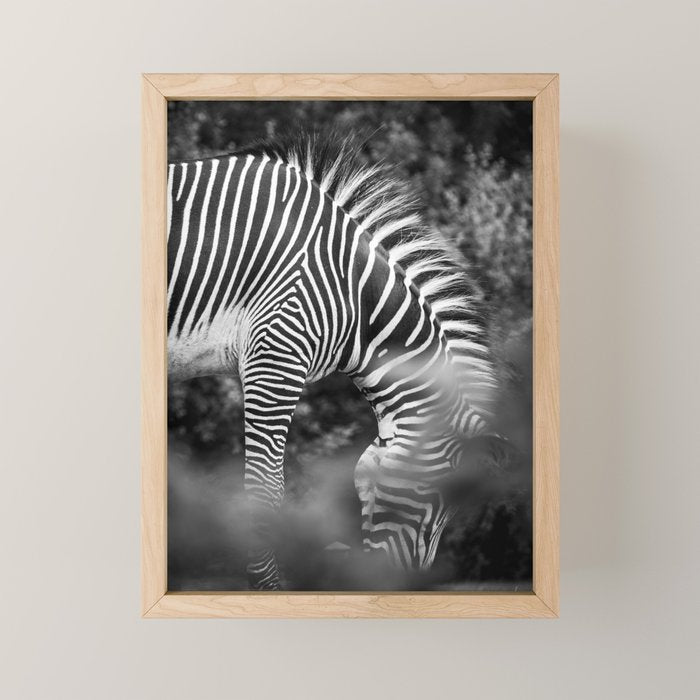 Zebra Abstract Black and White Fine Art Photography Mini Art Print Gallery Image 1