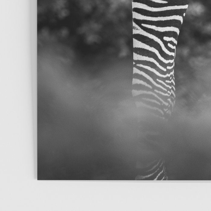 Zebra Abstract Black and White Fine Art Photography Poster Gallery Image 3