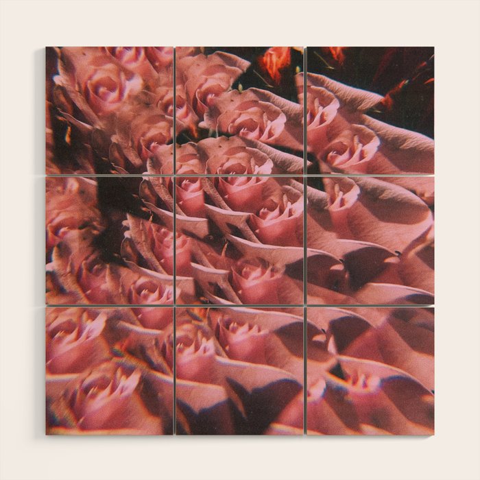 Set me free Wood Wall Art Gallery Image 1