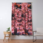 Set me free Window Curtain Gallery Image 5