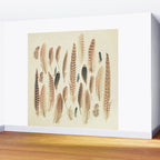 Found Feathers Wall Mural Gallery Image 2
