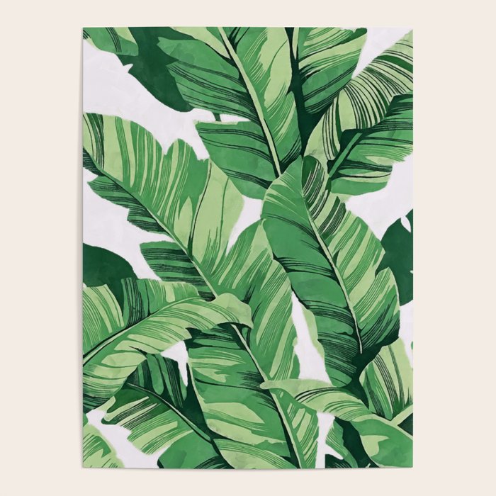 Tropical banana leaves V Poster Gallery Image 4