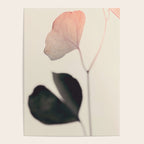 Ginkgo Leaves - Abstract Nature - Botanical Plant Photography Poster Gallery Image 4