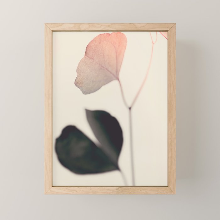 Ginkgo Leaves - Abstract Nature - Botanical Plant Photography Mini Art Print Gallery Image 1