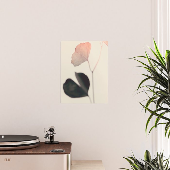 Ginkgo Leaves - Abstract Nature - Botanical Plant Photography Poster Gallery Image 2