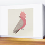 Whimsy Galah Wall Mural Gallery Image 2