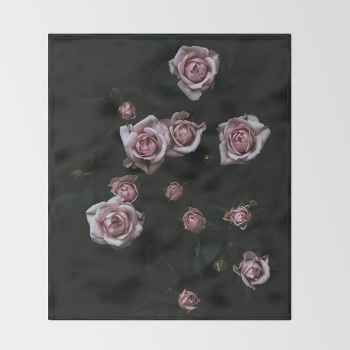 Velvet Rose Pink - Elegant Rose Flower photography by Ingrid Beddoes Throw Blanket Gallery Image 2