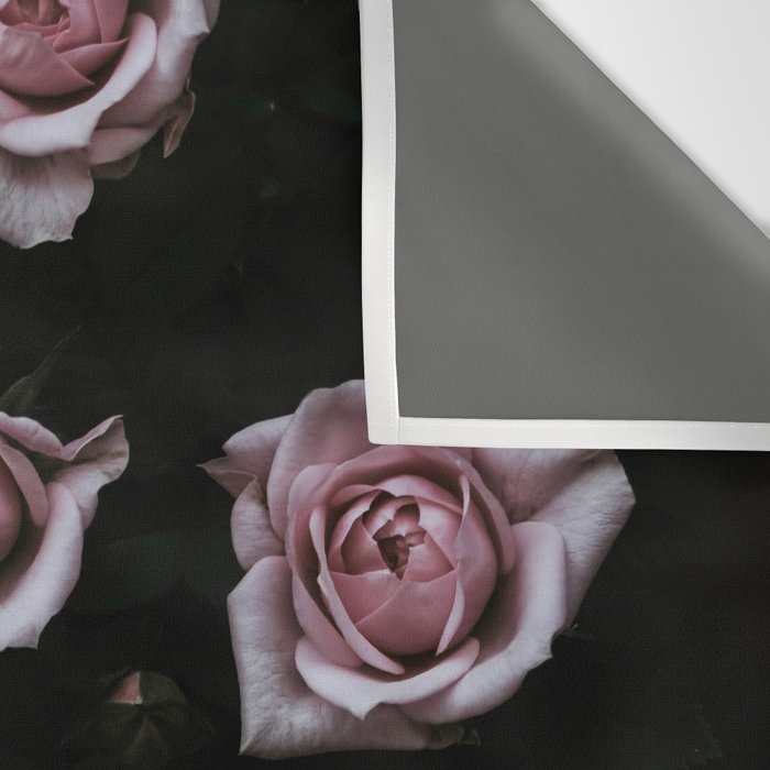 Velvet Rose Pink - Elegant Rose Flower photography by Ingrid Beddoes Wall Tapestry Gallery Image 3