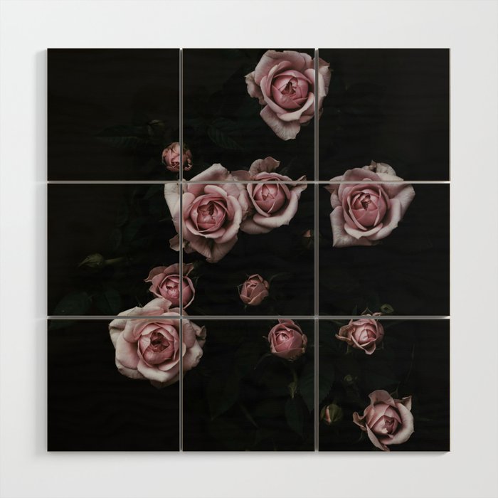 Velvet Rose Pink - Elegant Rose Flower photography by Ingrid Beddoes Wood Wall Art Gallery Image 1