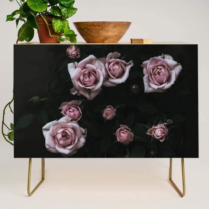 Velvet Rose Pink - Elegant Rose Flower photography by Ingrid Beddoes Credenza Gallery Image 1